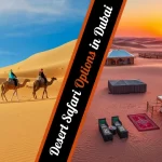 How Many Desert Safari Options Are There in Dubai