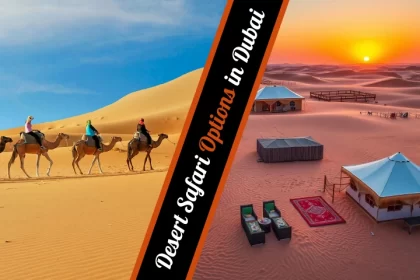 How Many Desert Safari Options Are There in Dubai