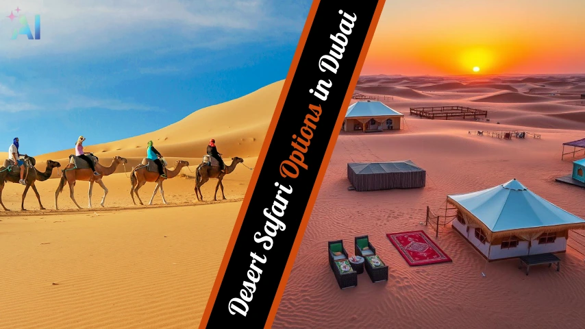 How Many Desert Safari Options Are There in Dubai